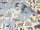 Animal Maps Blue