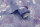 Dreamcatcher Purple/Silver