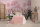 Palm Tree Paradise Blush (Mural)