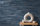Niebla Navy