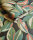 Nicolai Leaf Charcoal