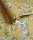 Nightingale Ochre