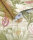 Water Lily Beige