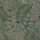 Solace Scattered Leaves Forest Green