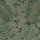Solace Scattered Leaves Forest Green