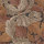 William Morris Acanthus Burnt Orange