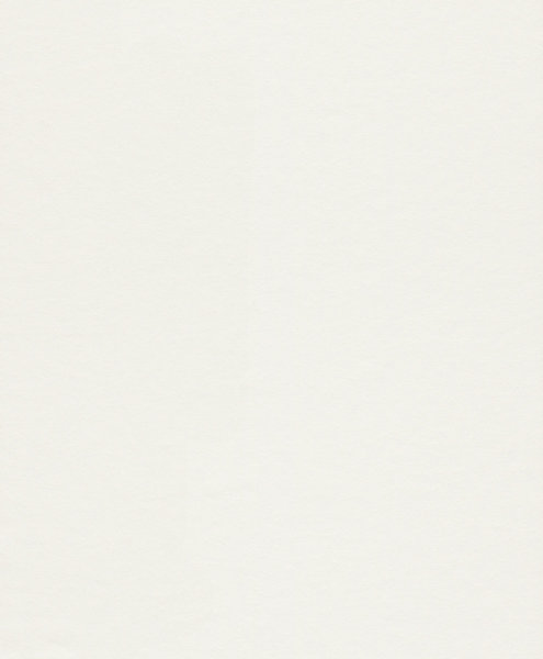 Makulaturvlies 25m x 1,06m | 150 gr/m²