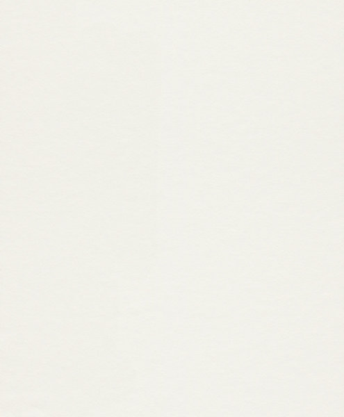 Makulaturvlies 25m x 1,06m | 120 gr/m²