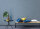 Tapete Designer Colours