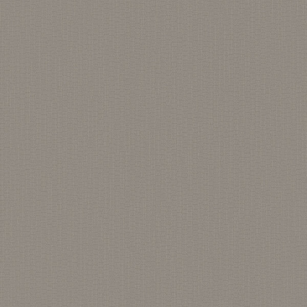 Tapete Designer Colours