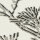 Tapete Vibes & Styles Lin - Zen Branches