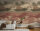 Fototapete Vibes & Styles  1,59 m x 2,80 m (BxH)