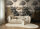 Fototapete Vibes & Styles  1,59 m x 2,80 m (BxH)