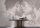Fototapete Walls by Patel 4 m x 2,7 m Paar Lila Taupe  Raum 4