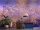 Fototapete Walls by Patel 4 m x 2,7 m Metallic Lila Bronze  Raum 4