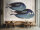 Fototapete Walls by Patel 4 m x 2,7 m Fische Blau Beige  Raum 4