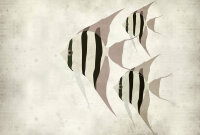 Fototapete Walls by Patel 4 m x 2,7 m Fische Beige   Raum 1