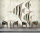 Fototapete Walls by Patel 4 m x 2,7 m Fische Beige   Raum 4
