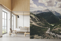 Fototapete Walls by Patel 4 m x 2,7 m Landschaft Grün Grau  Raum 5