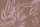 Fototapete Walls by Patel 4 m x 2,7 m Pflanzen Braun Rosa  Raum 1