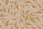Fototapete Walls by Patel 4 m x 2,7 m Pflanzen Orange   Raum 1