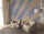 Fototapete Walls by Patel 5 m x 2,7 m Kunst Lila Beige  Raum 2