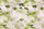 Fototapete Walls by Patel 4 m x 2,7 m Blätter Grün Creme  Raum 1