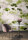 Fototapete Walls by Patel 4 m x 2,7 m Blätter Grün Creme  Raum 4