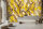 Fototapete Walls by Patel 4 m x 2,7 m Abstrakt Gelb Braun Beige Raum 3