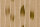 Fototapete Walls by Patel 4 m x 2,7 m Blätter Beige Grün  Raum 1