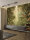 Fototapete Walls by Patel 4 m x 2,7 m Dschungel Grün Beige  Raum 2