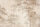 Fototapete Walls by Patel 4 m x 2,7 m Bäume Braun Beige  Raum 1