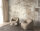 Fototapete Walls by Patel 4 m x 2,7 m Bäume Braun Beige  Raum 2