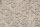 Fototapete Walls by Patel 4 m x 2,7 m Blumen Beige Grau  Raum 1