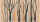 Fototapete Walls by Patel 5 m x 2,7 m Bäume Beige Braun Petrol Raum 1