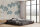 Fototapete Walls by Patel 5 m x 2,7 m Bäume Grau Blau  Raum 3