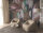Fototapete Walls by Patel 4 m x 2,7 m Blumen Braun Lila  Raum 3