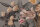Fototapete Walls by Patel 4 m x 2,7 m Blumen Grau Rosa  Raum 1