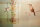Fototapete Walls by Patel 4 m x 2,7 m Vögel Beige Grün  Raum 1