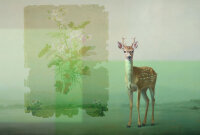 Fototapete Walls by Patel 4 m x 2,7 m Reh Grün Beige...