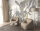 Fototapete Walls by Patel 4 m x 2,7 m Pflanzen Grün Creme  Raum 4