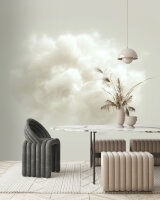 Fototapete Walls by Patel 4 m x 2,7 m Wolke Beige   Raum 2