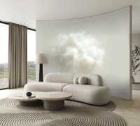 Fototapete Walls by Patel 4 m x 2,7 m Wolke Beige   Raum 4