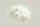Fototapete Walls by Patel 4 m x 2,7 m Wolke Beige   Raum 1