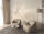 Fototapete Walls by Patel 4 m x 2,7 m Blüten Beige   Raum 3