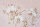 Fototapete Walls by Patel 4 m x 2,7 m Blumen Rosa Braun  Raum 1