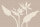 Fototapete Walls by Patel 4 m x 2,7 m Pflanzen Braun Creme  Raum 1
