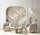 Fototapete Walls by Patel 4 m x 2,7 m Pflanzen Braun Creme  Raum 3