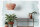 Fototapete Walls by Patel 4 m x 2,7 m Aquarell Hellblau   Raum 2