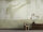 Fototapete Walls by Patel 4 m x 2,7 m Sport Grün   Raum 2